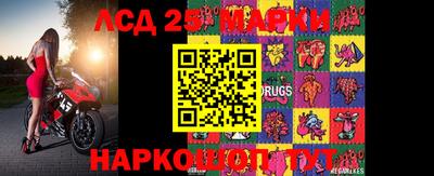 apvp Можга
