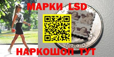 apvp Можга